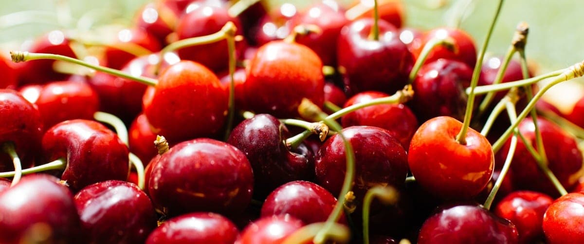 Alimentos para potenciar la memoria y mejorar la concentración