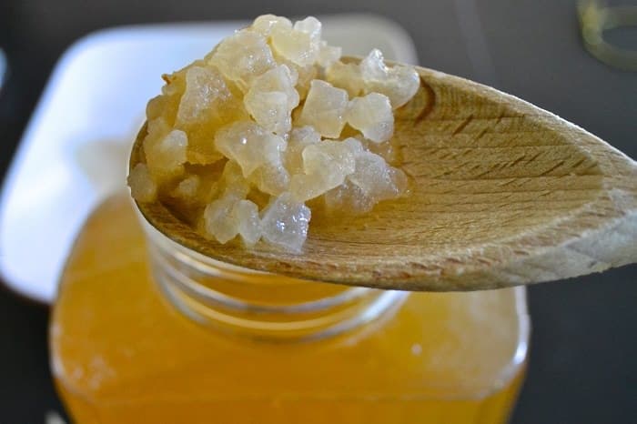 Receta de kéfir de agua y kombucha casera