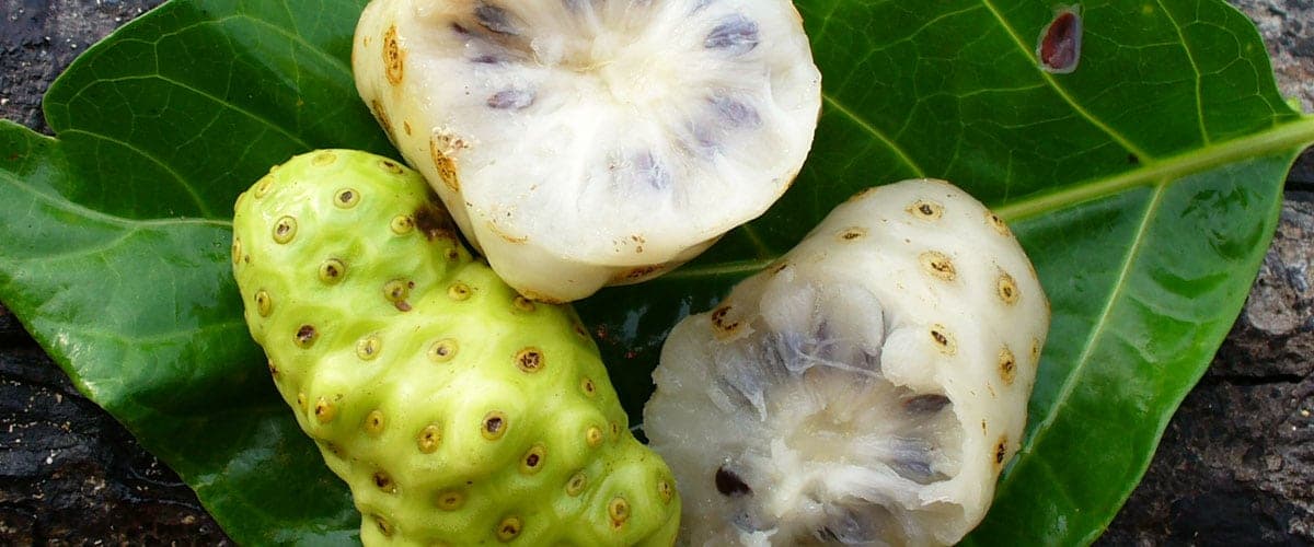 noni
