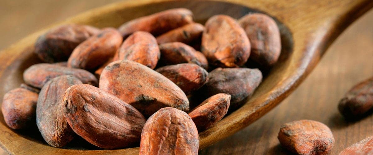 Cacao-12