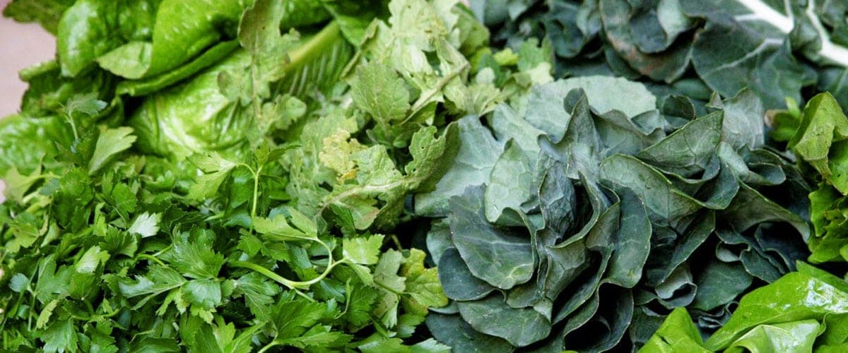 El poder medicinal de las cáscaras, tallos y hojas