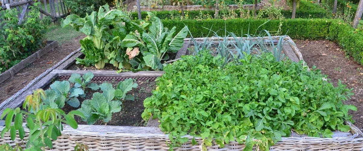 Alimentos para combatir el estrés