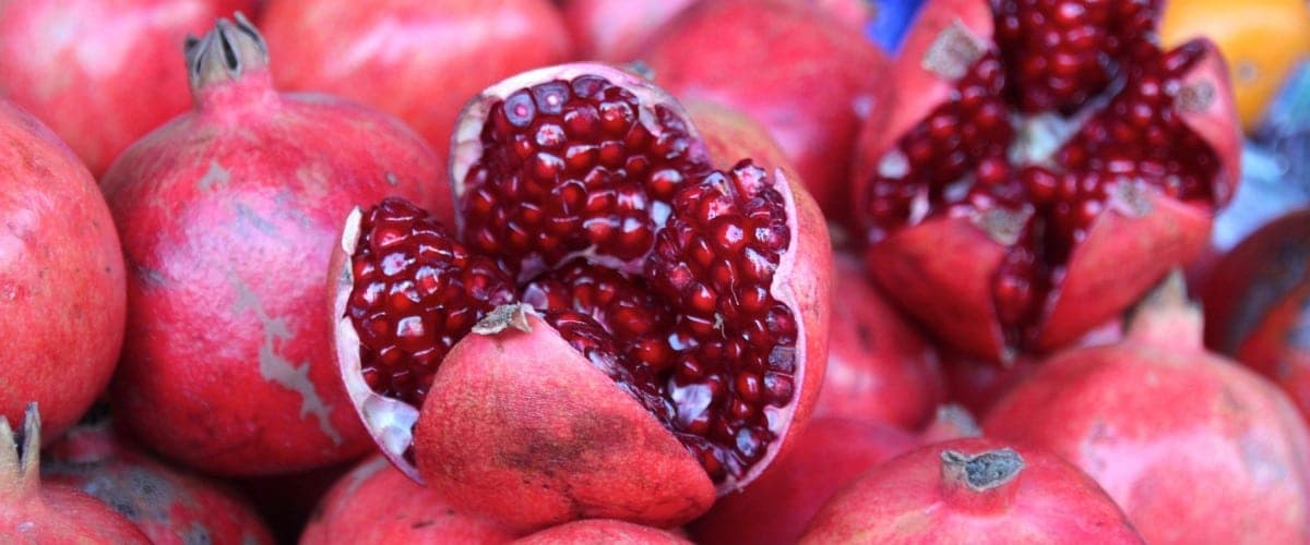 Biodiversidad es el gran tesoro para resguardar nuestra vida y salud