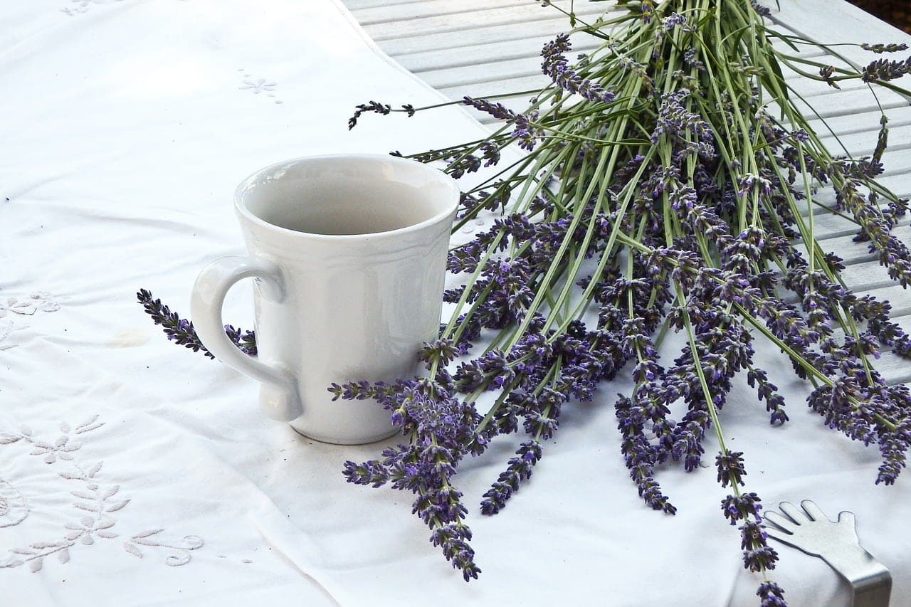 Infusiones para relajarse