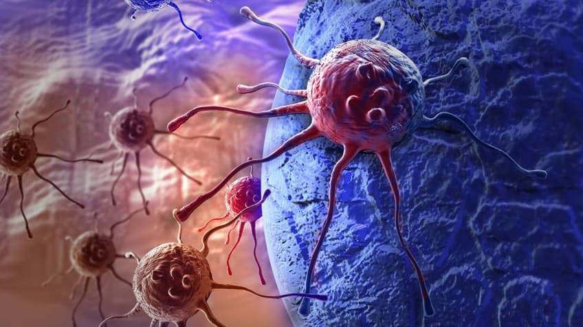Chilenos encuentran proteína que facilita eliminación de tumores