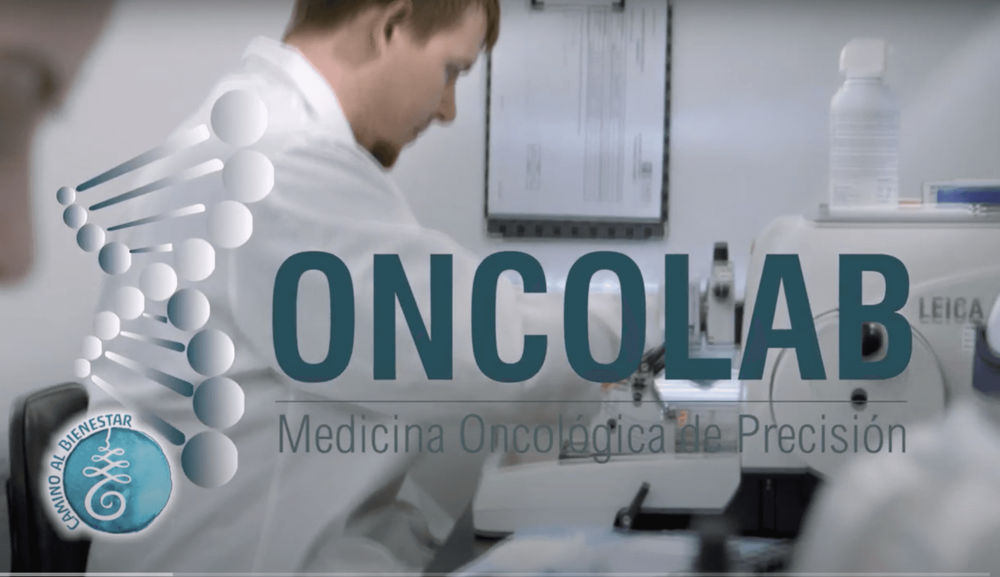 Sistema inmune y cáncer