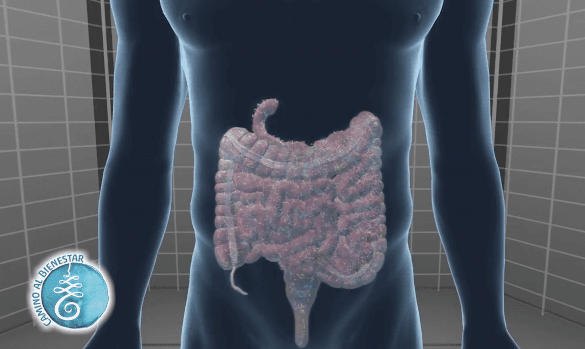Protocolo para una microbiota sana: la clave para tu sistema inmune