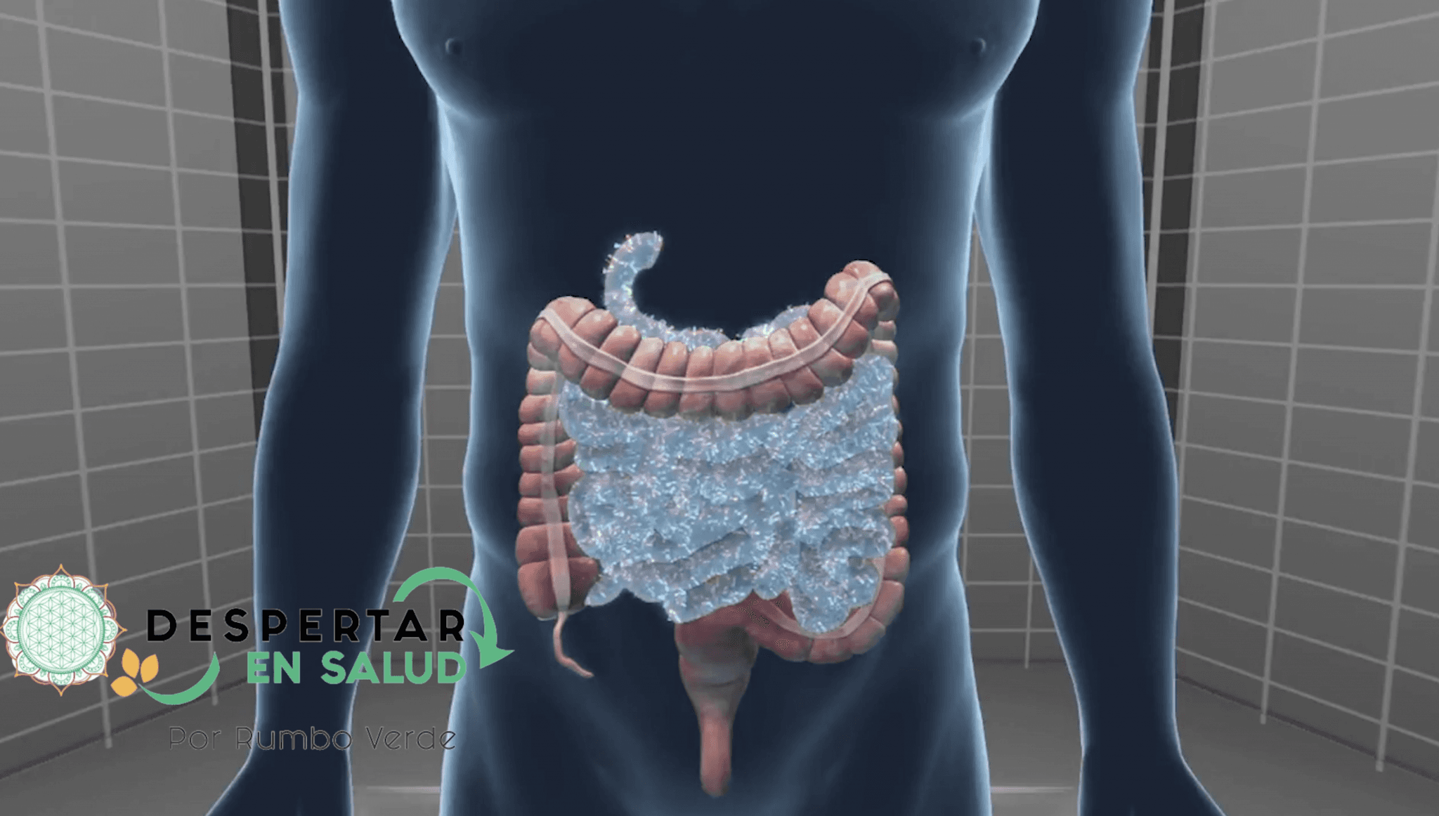 Una microbiota en equilibrio te sana