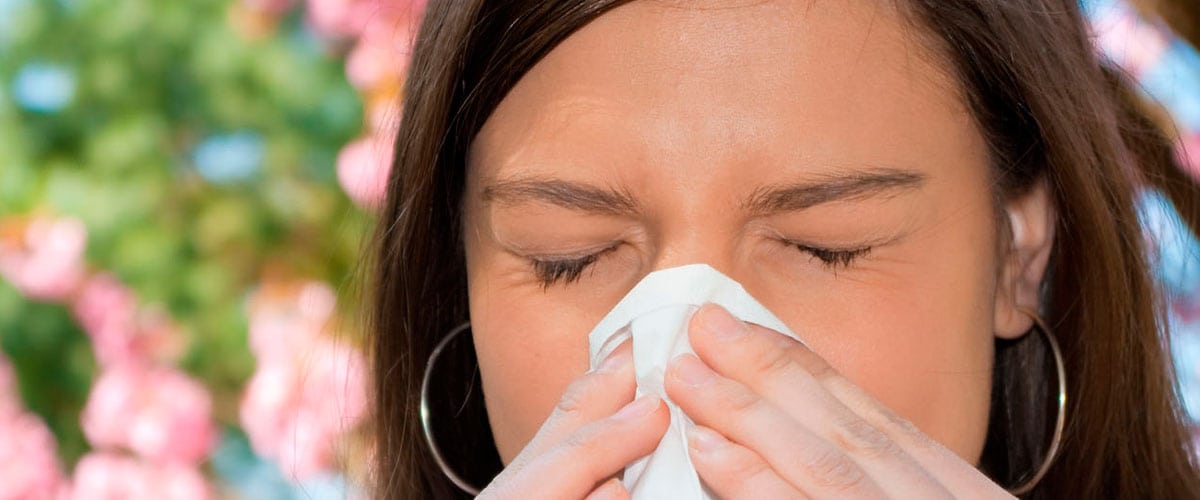 Remedios caseros para combatir las alergias