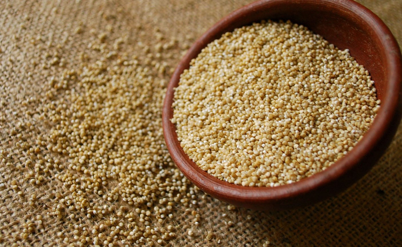 El Amaranto: Una de las semillas más nutritivas del mundo