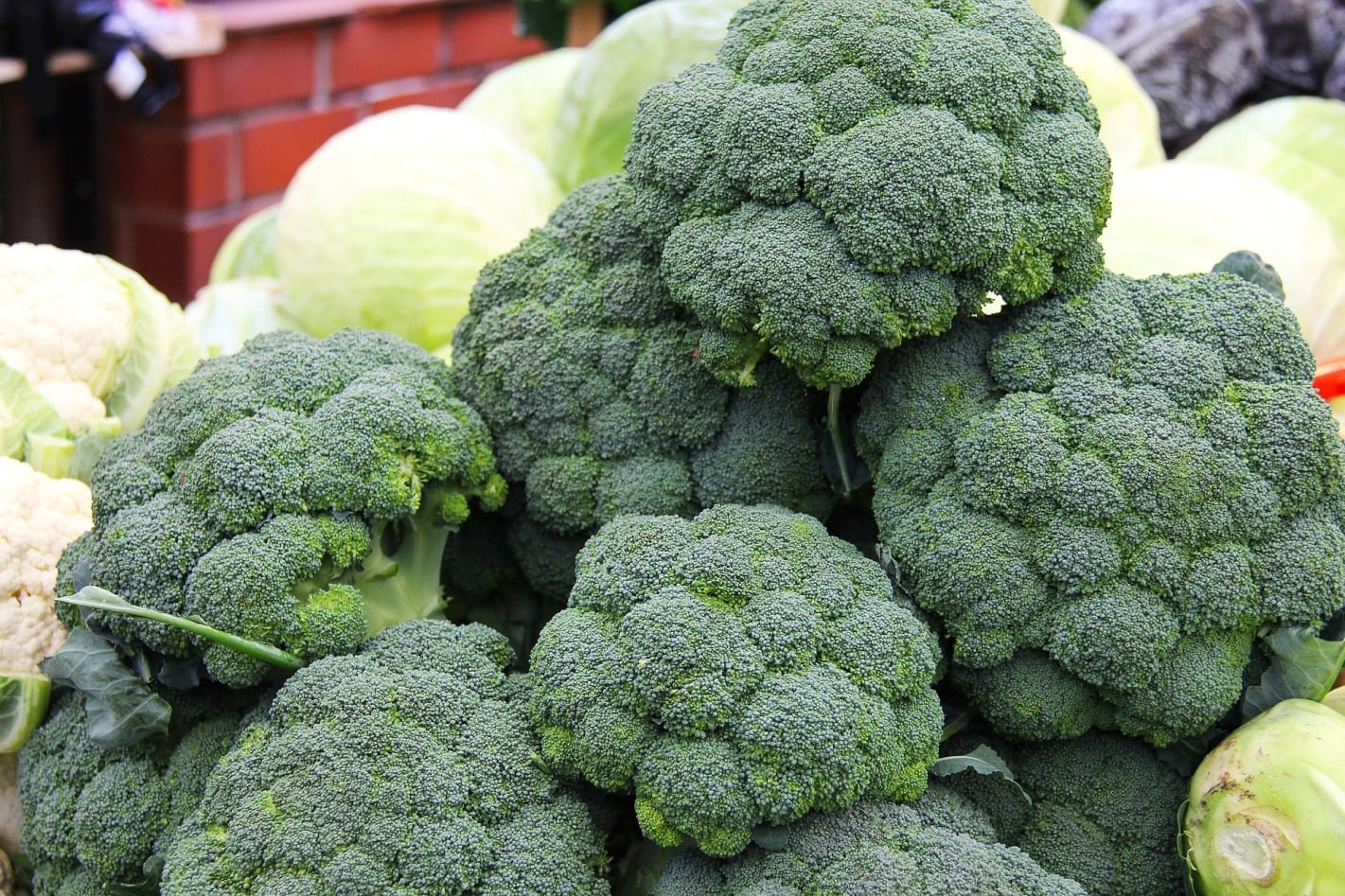 Brócoli: propiedades y beneficios que no conoces